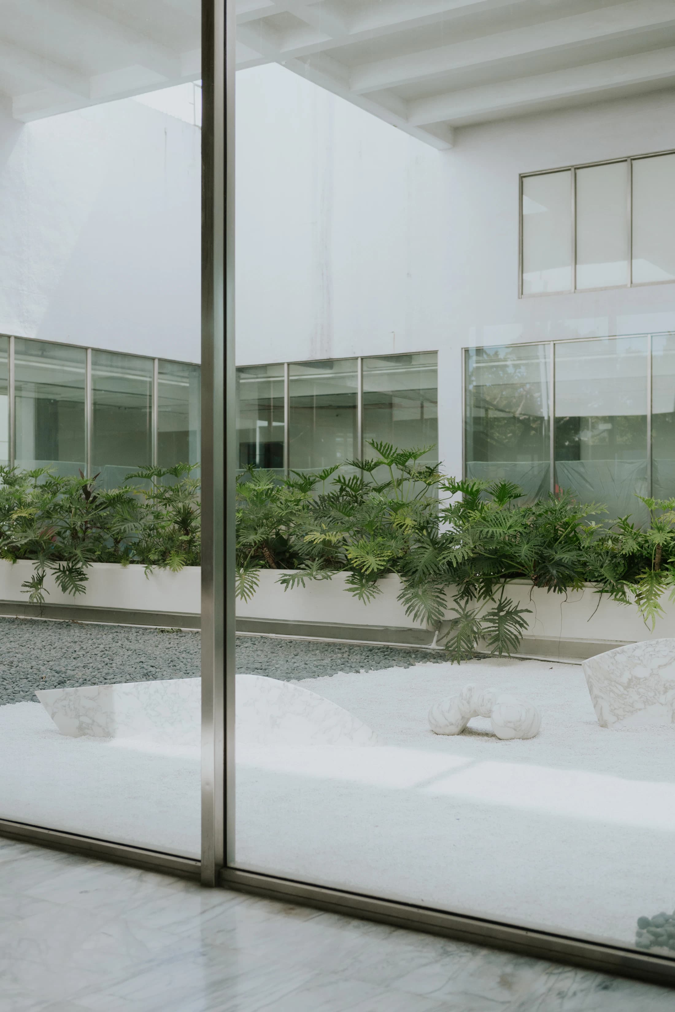 A planted residential courtyard; reference for the garden room study